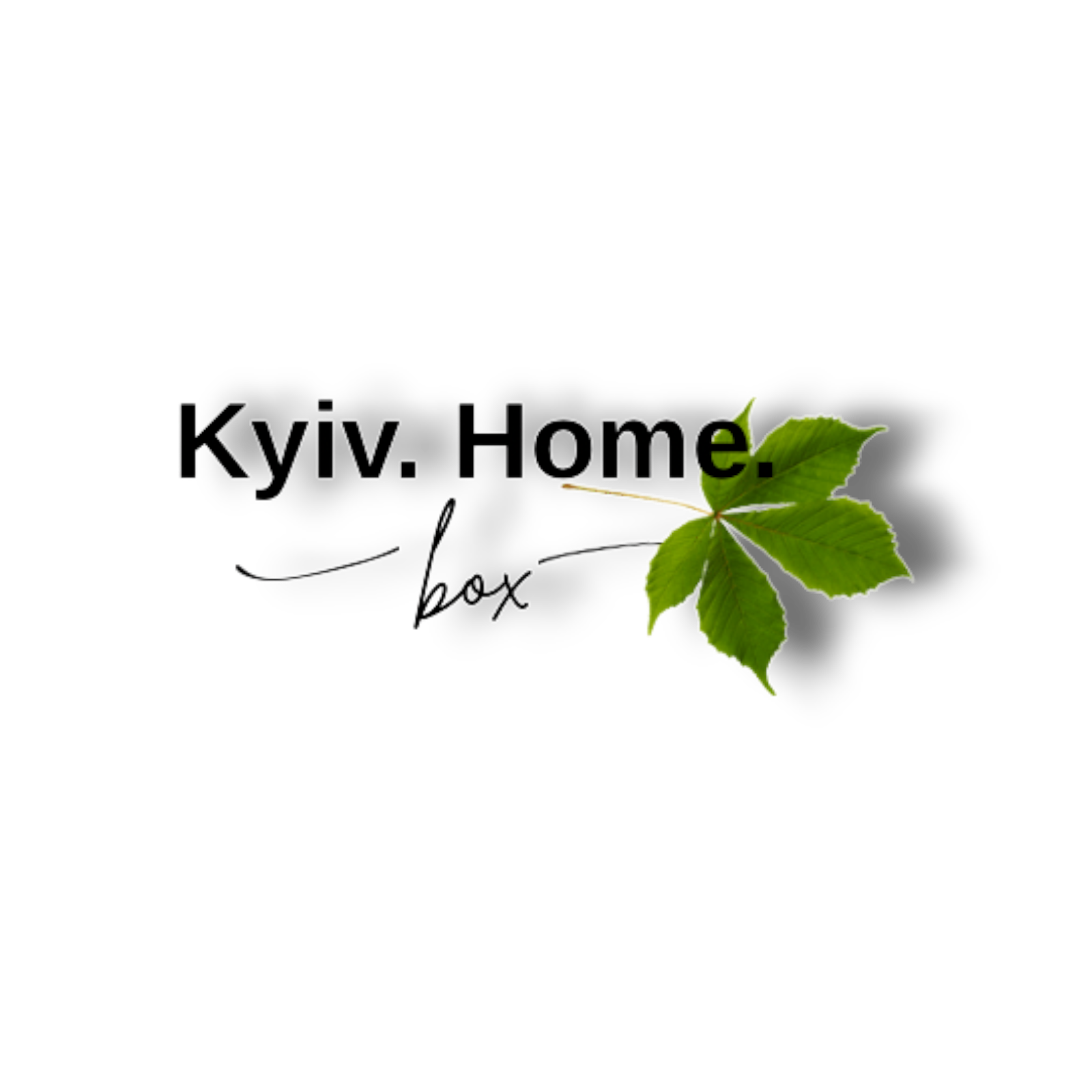 Kyiv. Home