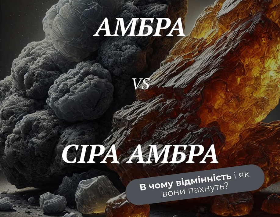 Амбра VS сіра амбра: в чому відмінність і як вони пахнуть?