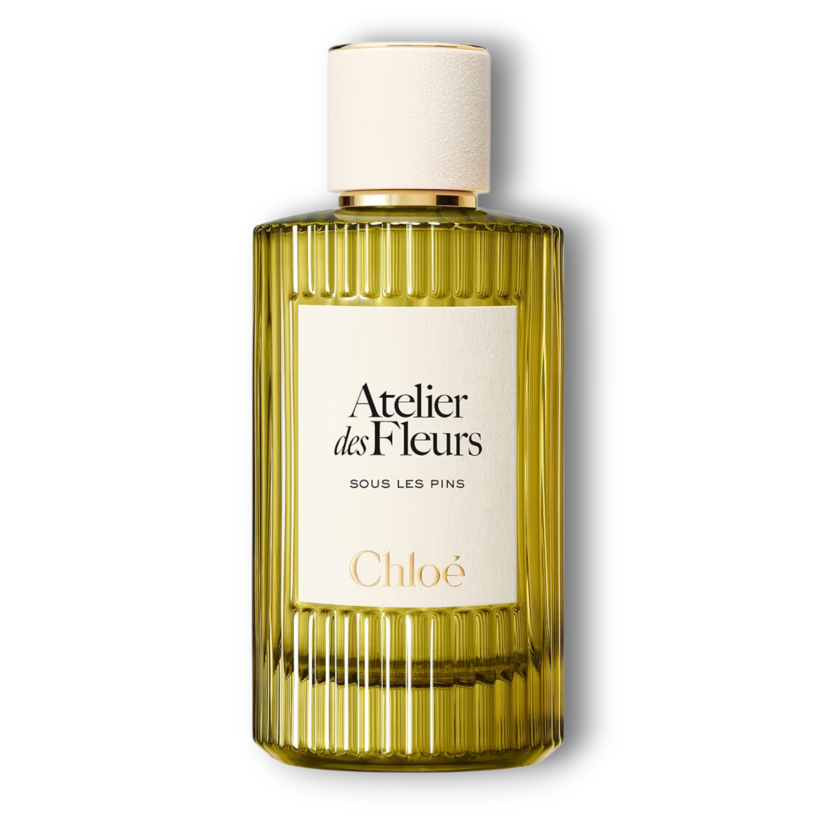 Sous les Pins Chloé Sous les Pins Chloé